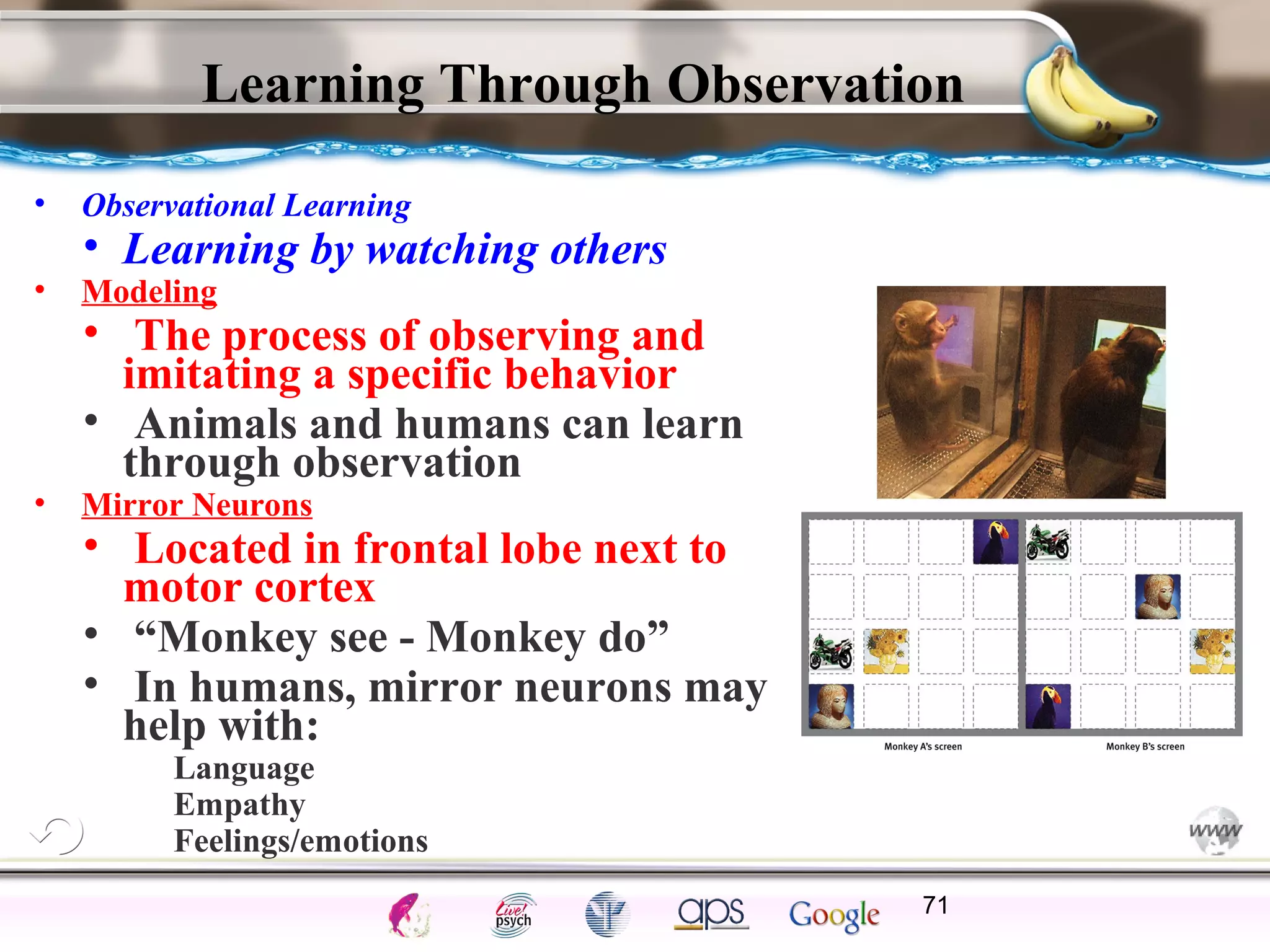 ElementsControl
SchedulesPunish
ObserveInsightHelplessCognitiveModify
ReinforceOperantEmotionsClassicalLearning
Learning Through Observation
• Observational Learning
• Learning by watching others
• Modeling
• The process of observing and
imitating a specific behavior
• Animals and humans can learn
through observation
• Mirror Neurons
• Located in frontal lobe next to
motor cortex
• “Monkey see - Monkey do”
• In humans, mirror neurons may
help with:
• Language
• Empathy
• Feelings/emotions
71
 
