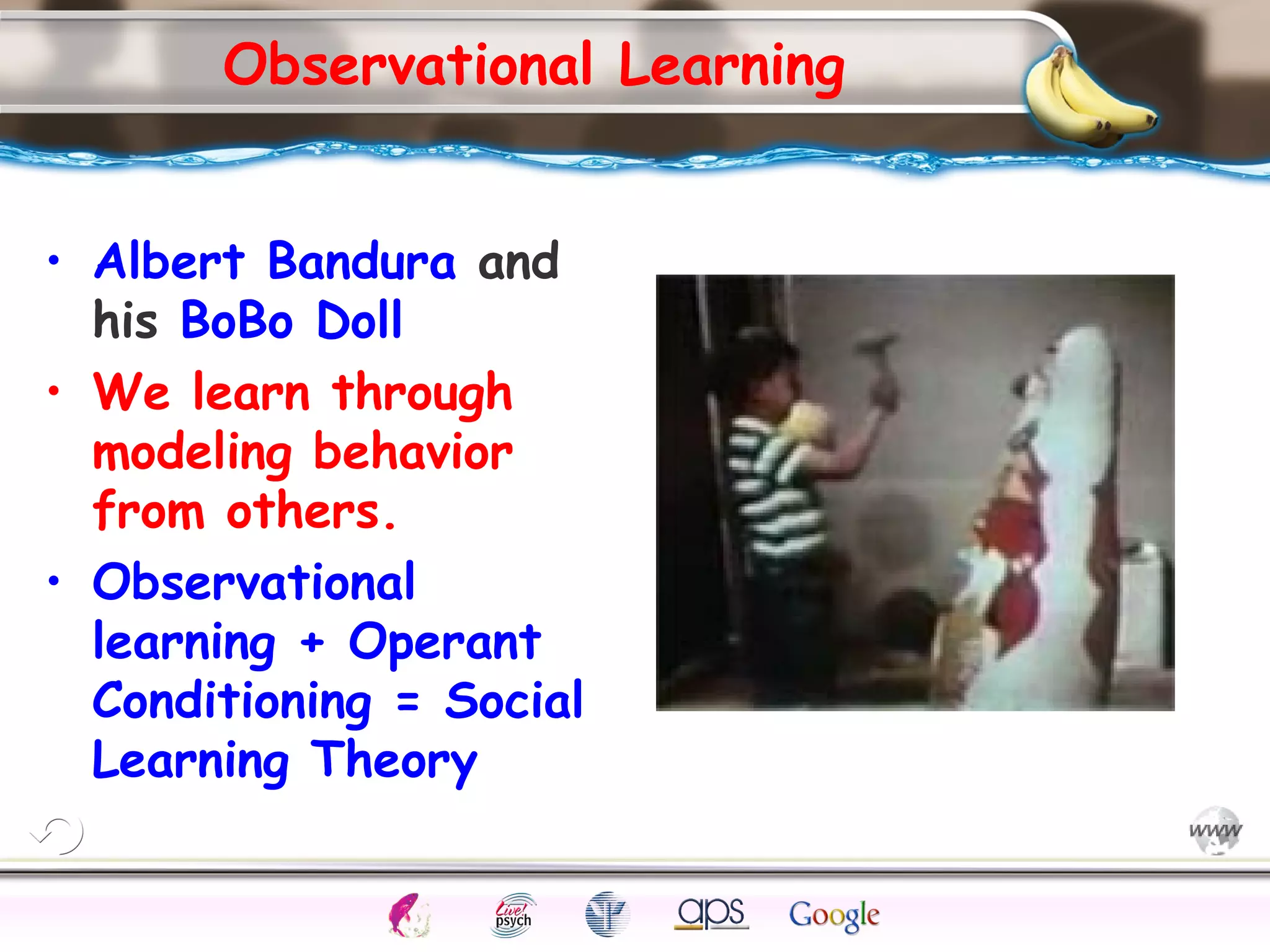 ElementsControl
SchedulesPunish
ObserveInsightHelplessCognitiveModify
ReinforceOperantEmotionsClassicalLearning
Observational Learning
• Albert Bandura and
his BoBo Doll
• We learn through
modeling behavior
from others.
• Observational
learning + Operant
Conditioning = Social
Learning Theory
 