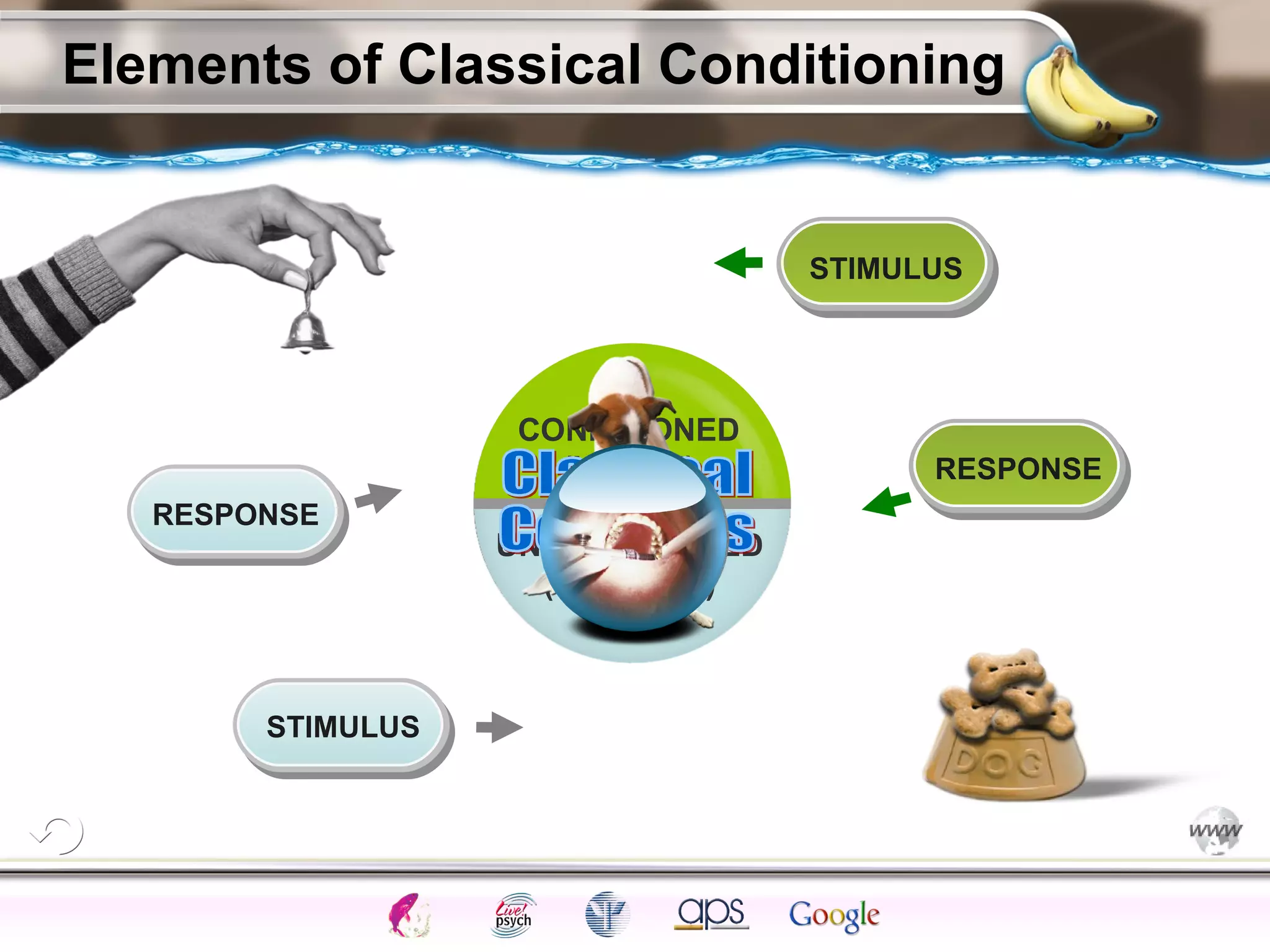 ElementsControl
SchedulesPunish
ObserveInsightHelplessCognitiveModify
ReinforceOperantEmotionsClassicalLearning
Elements of Classical Conditioning
CONDITIONED
(learned)
UNCONDITIONED
(unlearned)
STIMULUS
RESPONSE
STIMULUS
RESPONSE
 