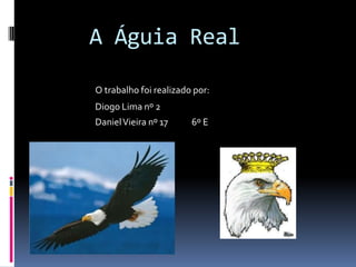 A Águia Real
O trabalho foi realizado por:
Diogo Lima nº 2
DanielVieira nº 17 6º E