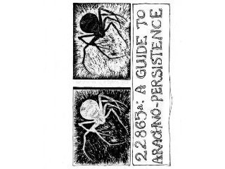 22865a: A Guide to Arachno-Persistence