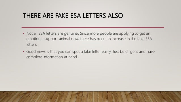 A Guide To Acquiring An ESA Letter For Housing