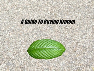 A Guide To Buying Kratom

 