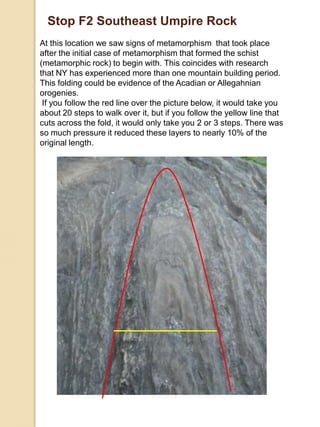 Stop F2 Southeast Umpire RockAt this location we saw signs of metamorphism  that took place after the initial case of metamorphism that formed the schist (metamorphic rock) to begin with. This coincides with research that NY has experienced more than one mountain building period. This folding could be evidence of the Acadian or Allegahnianorogenies.  If you follow the red line over the picture below, it would take you about 20 steps to walk over it, but if you follow the yellow line that cuts across the fold, it would only take you 2 or 3 steps. There was so much pressure it reduced these layers to nearly 10% of the original length. 