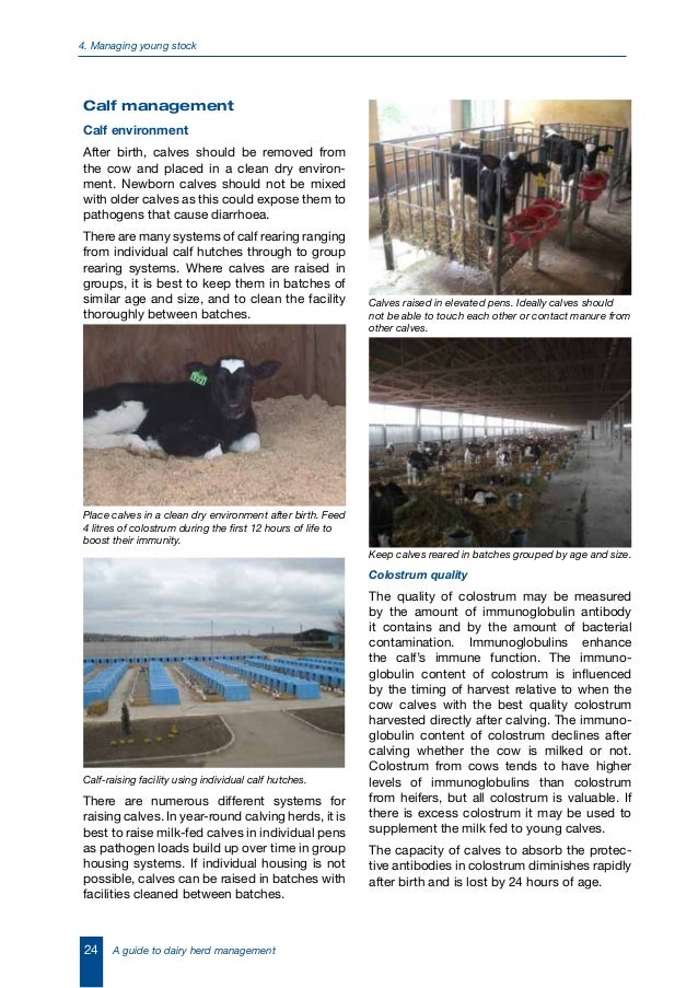 A guide to dairy herd management (australia)