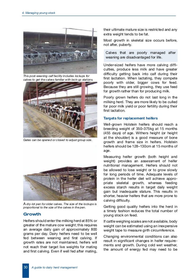 A guide to dairy herd management (australia)