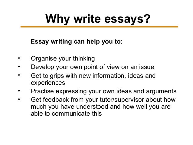 what is essay uses