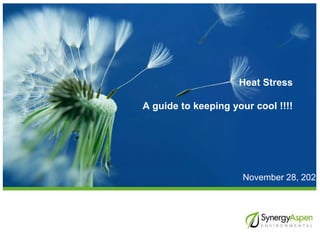 Heat Stress
A guide to keeping your cool !!!!
November 28, 2022
 