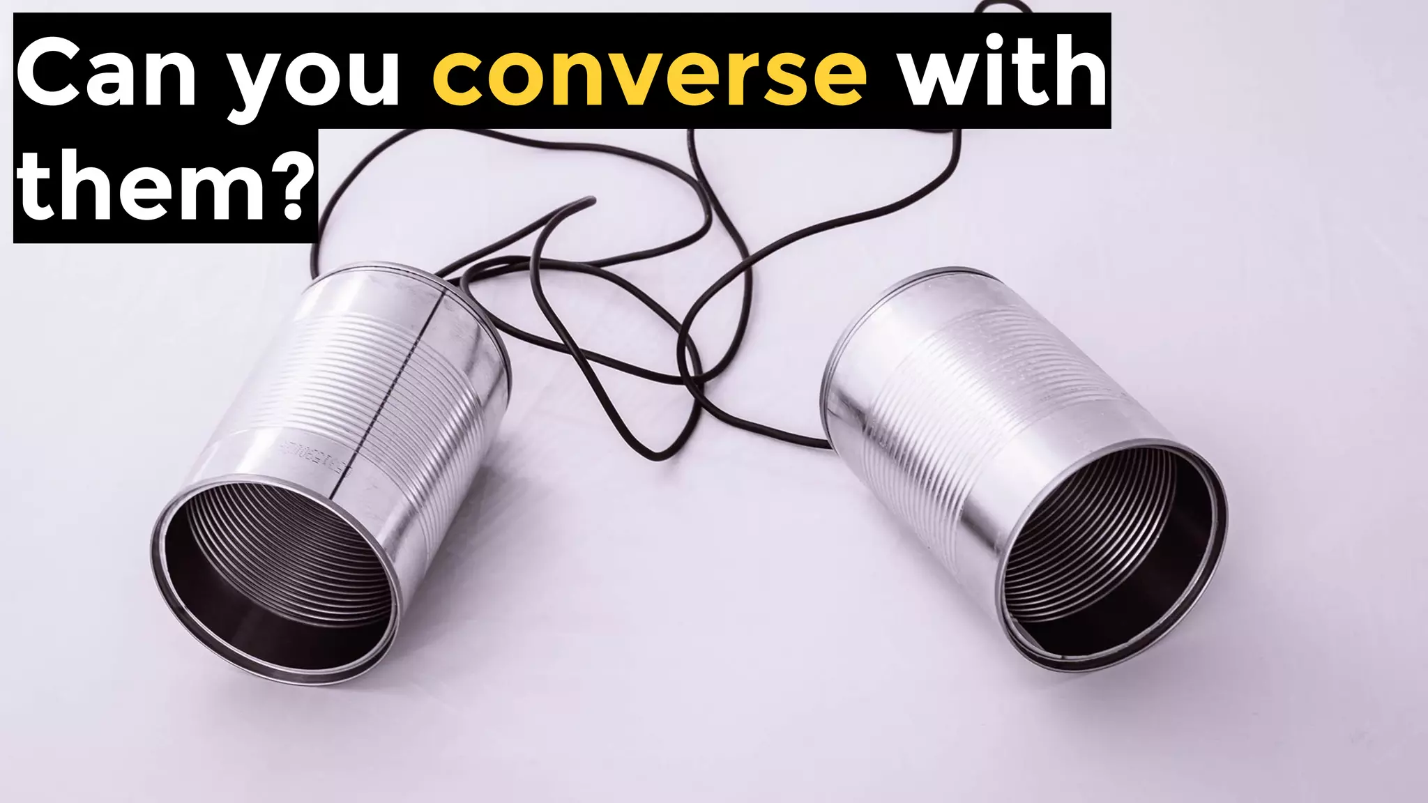 Can you converse with them?
 