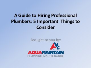 A Guide to Hiring Professional
Plumbers: 5 Important Things to
Consider
Brought to you by:
 