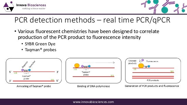 D-PCR-DY-23 Deutsch Prüfung