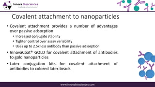 A guide to lateral flow immunoassay development | PDF