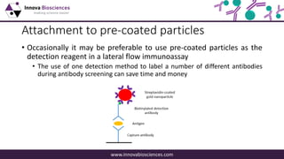 A guide to lateral flow immunoassay development | PDF