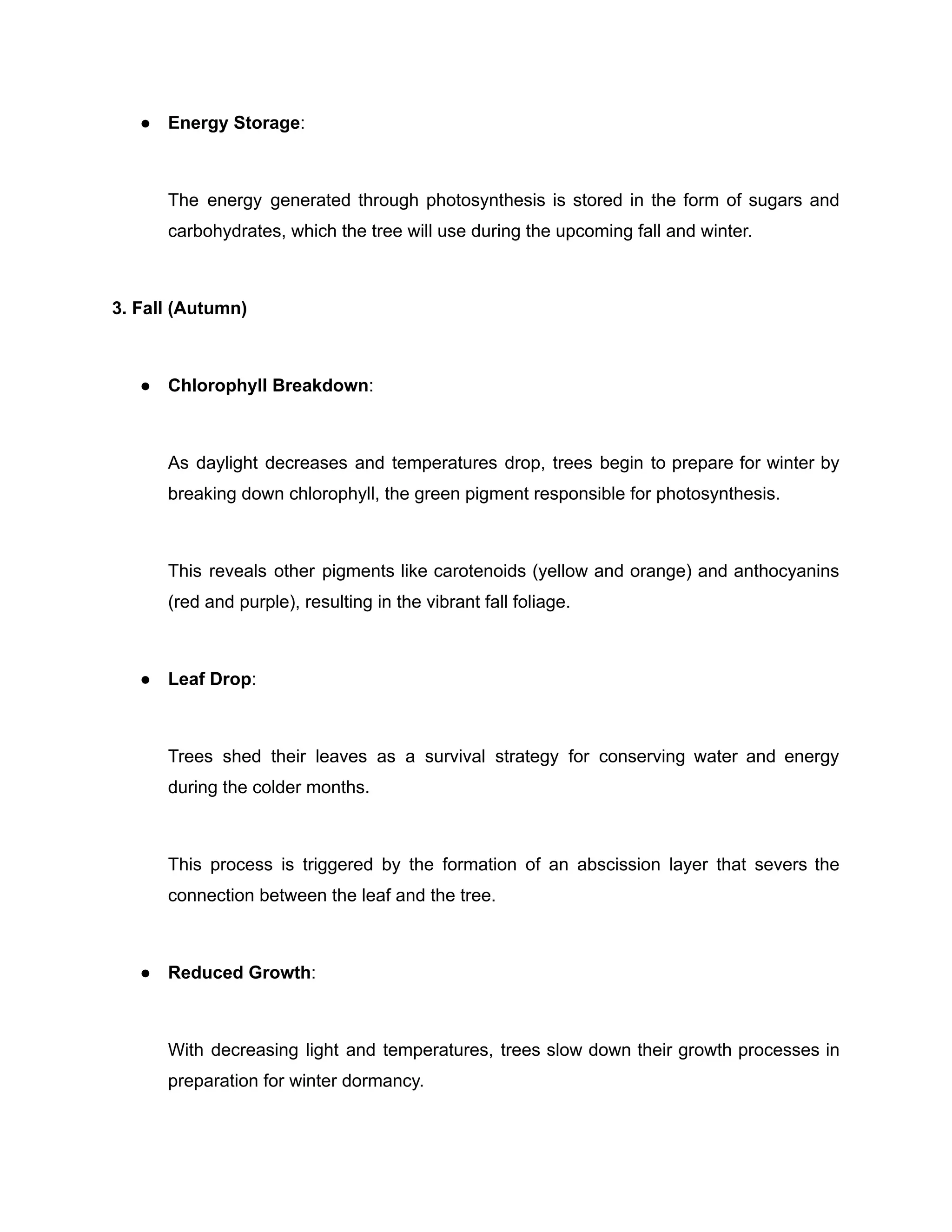 ● Energy Storage:
The energy generated through photosynthesis is stored in the form of sugars and
carbohydrates, which the tree will use during the upcoming fall and winter.
3. Fall (Autumn)
● Chlorophyll Breakdown:
As daylight decreases and temperatures drop, trees begin to prepare for winter by
breaking down chlorophyll, the green pigment responsible for photosynthesis.
This reveals other pigments like carotenoids (yellow and orange) and anthocyanins
(red and purple), resulting in the vibrant fall foliage.
● Leaf Drop:
Trees shed their leaves as a survival strategy for conserving water and energy
during the colder months.
This process is triggered by the formation of an abscission layer that severs the
connection between the leaf and the tree.
● Reduced Growth:
With decreasing light and temperatures, trees slow down their growth processes in
preparation for winter dormancy.
 