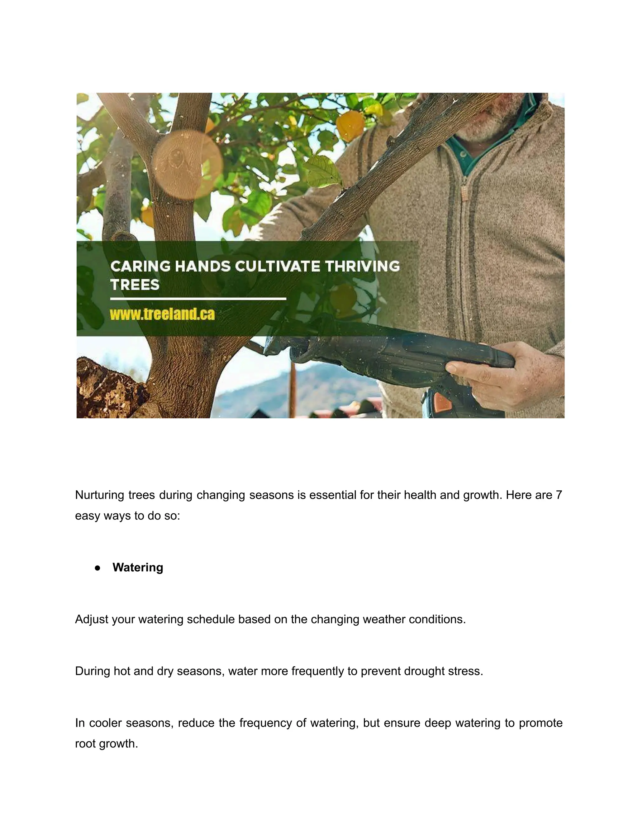 Nurturing trees during changing seasons is essential for their health and growth. Here are 7
easy ways to do so:
● Watering
Adjust your watering schedule based on the changing weather conditions.
During hot and dry seasons, water more frequently to prevent drought stress.
In cooler seasons, reduce the frequency of watering, but ensure deep watering to promote
root growth.
 