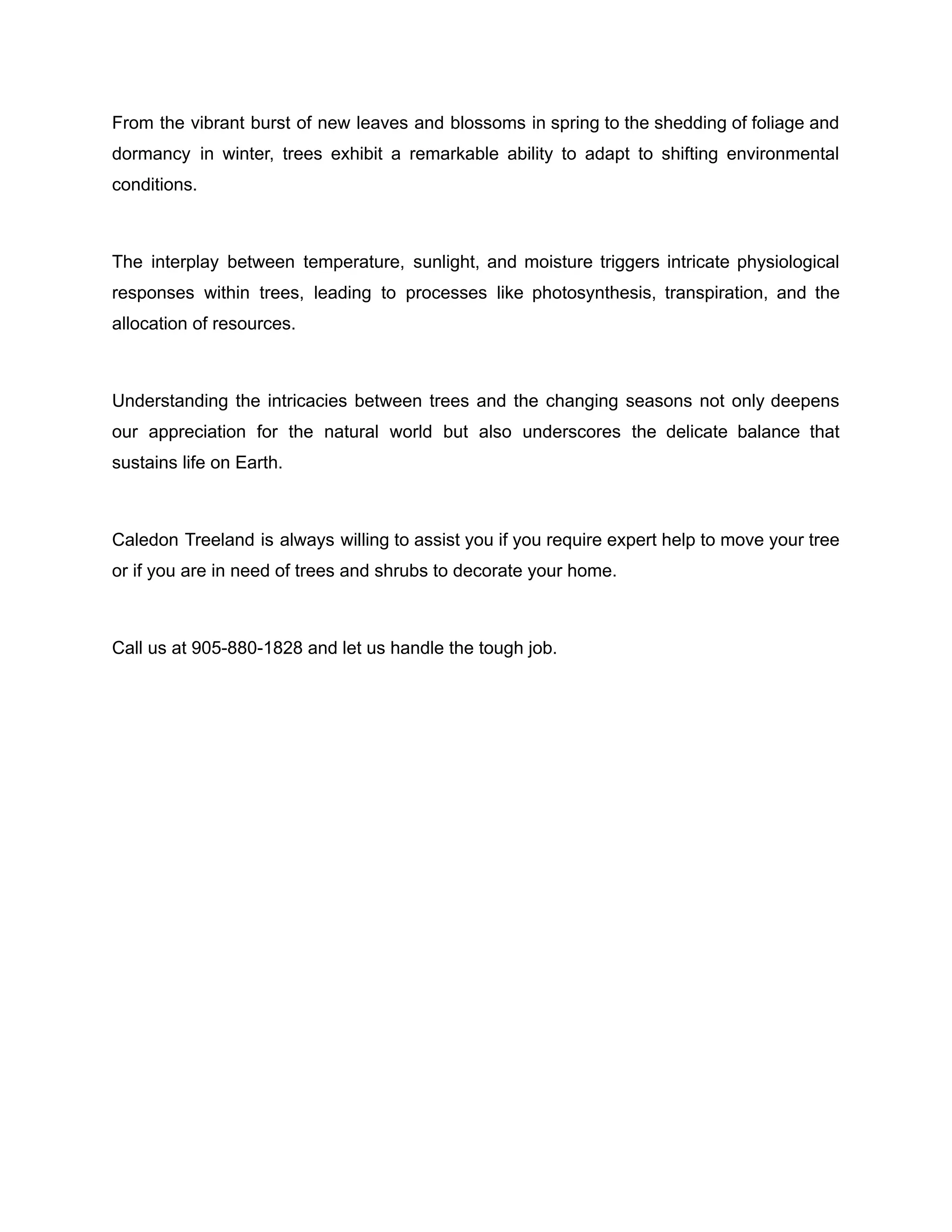 From the vibrant burst of new leaves and blossoms in spring to the shedding of foliage and
dormancy in winter, trees exhibit a remarkable ability to adapt to shifting environmental
conditions.
The interplay between temperature, sunlight, and moisture triggers intricate physiological
responses within trees, leading to processes like photosynthesis, transpiration, and the
allocation of resources.
Understanding the intricacies between trees and the changing seasons not only deepens
our appreciation for the natural world but also underscores the delicate balance that
sustains life on Earth.
Caledon Treeland is always willing to assist you if you require expert help to move your tree
or if you are in need of trees and shrubs to decorate your home.
Call us at 905-880-1828 and let us handle the tough job.
 