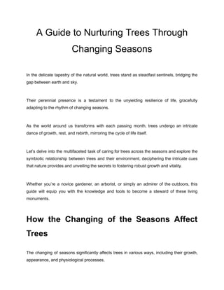 A Guide to Nurturing Trees Through
Changing Seasons
In the delicate tapestry of the natural world, trees stand as steadfast sentinels, bridging the
gap between earth and sky.
Their perennial presence is a testament to the unyielding resilience of life, gracefully
adapting to the rhythm of changing seasons.
As the world around us transforms with each passing month, trees undergo an intricate
dance of growth, rest, and rebirth, mirroring the cycle of life itself.
Let’s delve into the multifaceted task of caring for trees across the seasons and explore the
symbiotic relationship between trees and their environment, deciphering the intricate cues
that nature provides and unveiling the secrets to fostering robust growth and vitality.
Whether you’re a novice gardener, an arborist, or simply an admirer of the outdoors, this
guide will equip you with the knowledge and tools to become a steward of these living
monuments.
How the Changing of the Seasons Affect
Trees
The changing of seasons significantly affects trees in various ways, including their growth,
appearance, and physiological processes.
 