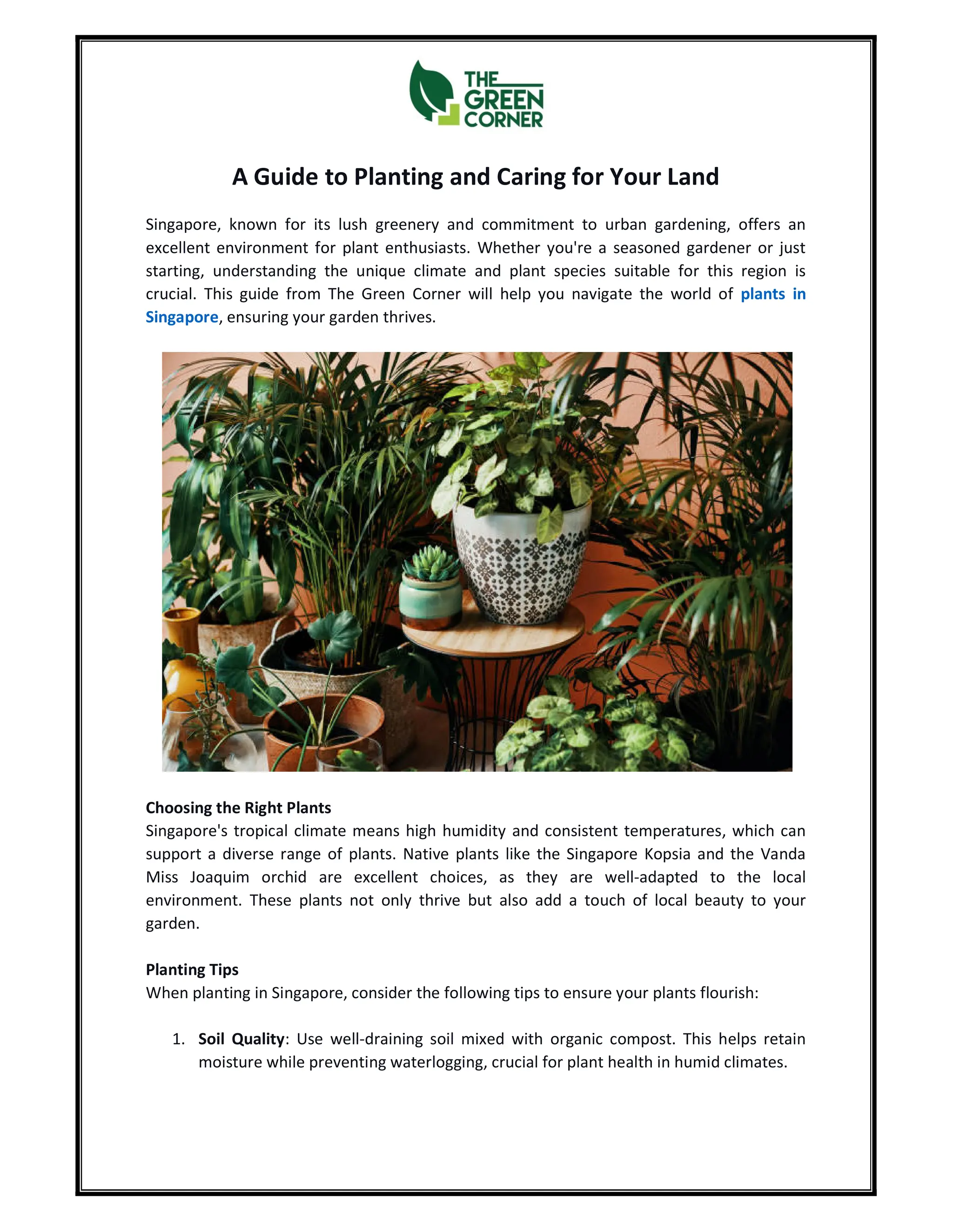 A Guide to Planting and Caring for Your Land | PDF