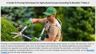 A Guide To Pruning Techniques For Agricultural Success According To Benedict T Palen Jr
Pruning is a fundamental practice in farming that includes eliminating explicit pieces of a plant, like branches, buds, or
roots, to improve development, yield, and, by and large, plant well-being. By utilizing legitimate pruning strategies,
ranchers can upgrade crop quality, advance better nuisance and sickness the executives, and further develop,
generally speaking, homestead efficiency. In this article, we will investigate several pruning methods, as per Benedict
T palen Jr, that can help cultivate tasks.
 