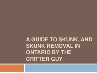 A GUIDE TO SKUNK, AND
SKUNK REMOVAL IN
ONTARIO BY THE
CRITTER GUY
 