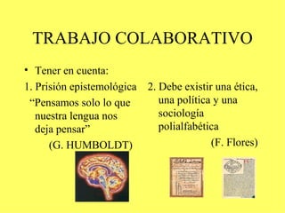 TRABAJO COLABORATIVO Tener en cuenta: 1. Prisión epistemológica “ Pensamos solo lo que nuestra lengua nos deja pensar”  (G. HUMBOLDT) 2. Debe existir una ética, una política y una sociología polialfabética  (F. Flores) 