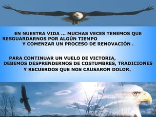 EN NUESTRA VIDA ... MUCHAS VECES TENEMOS QUE RESGUARDARNOS POR ALGÚN TIEMPO  Y COMENZAR UN PROCESO DE RENOVACIÓN . PARA CONTINUAR UN VUELO DE VICTORIA,  DEBEMOS DESPRENDERNOS DE COSTUMBRES, TRADICIONES Y RECUERDOS QUE NOS CAUSARON DOLOR .   