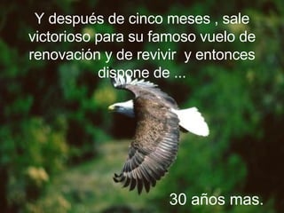 Y después de cinco meses , sale victorioso para su famoso vuelo de renovación y de revivir  y entonces dispone de ... 30 años mas. 