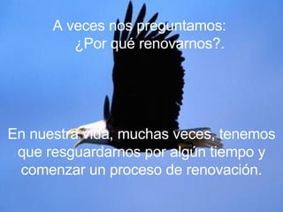 A veces nos preguntamos:  ¿Por qué renovarnos?. En nuestra vida, muchas veces, tenemos que resguardarnos por algún tiempo y comenzar un proceso de renovación. 