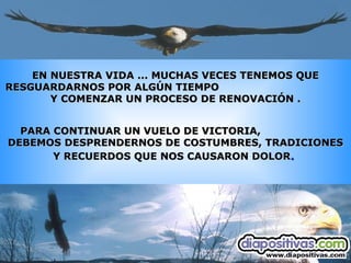 EN NUESTRA VIDA ... MUCHAS VECES TENEMOS QUE RESGUARDARNOS POR ALGÚN TIEMPO  Y COMENZAR UN PROCESO DE RENOVACIÓN . PARA CONTINUAR UN VUELO DE VICTORIA,  DEBEMOS DESPRENDERNOS DE COSTUMBRES, TRADICIONES Y RECUERDOS QUE NOS CAUSARON DOLOR .   
