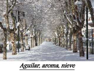 Aguilar, aroma, nieve
 