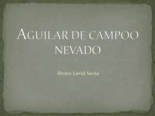 Álvaro Lavid Serna
 