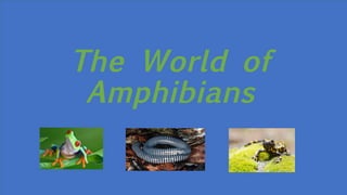 The World of
Amphibians
 