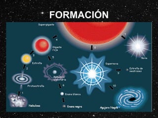 FORMACIÓN