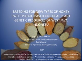 BREEDING FOR NEW TYPES OF HONEY
SWEETPOTATO BASED ON LOCAL PLANT
GENETIC RESOURCES OF WEST JAVA
INDONESIA
Agung Karuniawan
Faculty of Agriculture, Padjadjaran University
Budi Waluyo
Faculty of Agriculture, Brawijaya University
2014
International Workshop Tropical Bio-resources For Sustainable Development, The Role of
Innovation to Enhance Germany Alumni in Scientific and Professional Capacities,
August 13rd-15rd 2014 Bogor-West Java, Indonesia.
 
