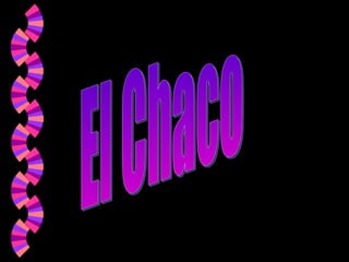 El Chaco 