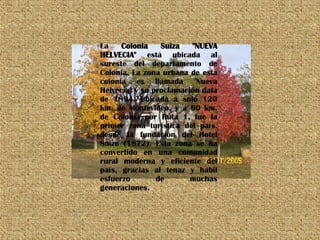 La  Colonia Suiza "NUEVA HELVECIA"  está ubicada al sureste del departamento de Colonia. La zona urbana de esta colonia es llamada "Nueva Helvecia" y su proclamación data de 1894. Ubicada a solo 120 km. de Montevideo, y a 60 km. de Colonia por Ruta 1, fue la primer zona turística del país. desde la fundación del Hotel Suizo (1872). Esta zona se ha convertido en una comunidad rural moderna y eficiente del país, gracias al tenaz y hábil esfuerzo de muchas generaciones.  