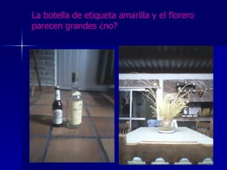 La botella de etiqueta amarilla y el florero parecen grandes ¿no? 
