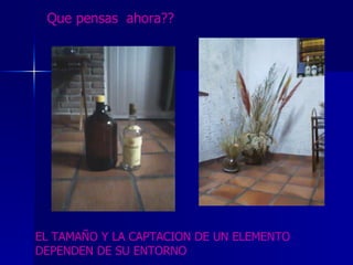 Que pensas  ahora?? EL TAMAÑO Y LA CAPTACION DE UN ELEMENTO DEPENDEN DE SU ENTORNO 