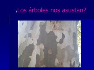 ¿ Los árboles nos asustan? 