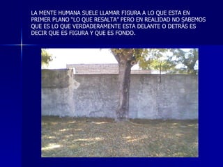 LA MENTE HUMANA SUELE LLAMAR FIGURA A LO QUE ESTA EN PRIMER PLANO “LO QUE RESALTA” PERO EN REALIDAD NO SABEMOS QUE ES LO QUE VERDADERAMENTE ESTA DELANTE O DETRÁS ES DECIR QUE ES FIGURA Y QUE ES FONDO. 