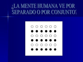 ¿LA MENTE HUMANA VE POR SEPARADO O POR CONJUNTO? 
