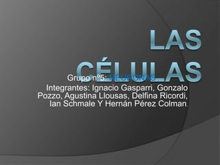 Las células  Grupo nº5: NEURONAS Integrantes: Ignacio Gasparri, Gonzalo Pozzo, Agustina Llousas, Delfina Ricordi, Ian Schmale Y Hernán Pérez Colman. 