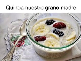 Quinoa nuestro grano madre
 