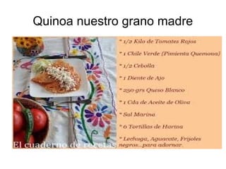 Quinoa nuestro grano madre
 