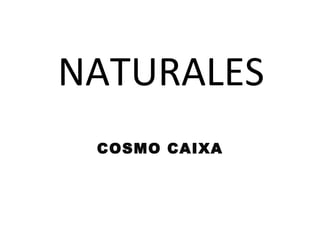 NATURALES COSMO CAIXA 