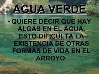 AGUA VERDE QUIERE DECIR QUE HAY ALGAS EN EL AGUA. ESTO DIFICULTA LA EXISTENCIA DE OTRAS FORMAS DE VIDA EN EL ARROYO. 