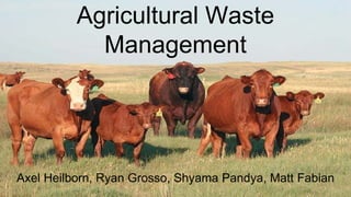 Agricultural Waste
Management
Axel Heilborn, Ryan Grosso, Shyama Pandya, Matt Fabian
 