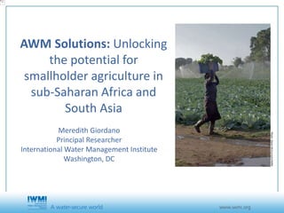 1
Photo:SteveMcCurrach/IWMI
AWM Solutions: Unlocking
the potential for
smallholder agriculture in
sub-Saharan Africa and
South Asia
Meredith Giordano
Principal Researcher
International Water Management Institute
Washington, DC
 