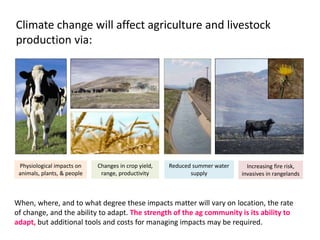 Climate Change Impacts on Western Livestock (as seen through the lens ...