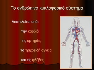 Το ανθρώπινο κυκλοφορικό σύστημαΤο ανθρώπινο κυκλοφορικό σύστημα
Αποτελείται από:
την καρδιά
τις αρτηρίες
τα τριχοειδή αγγεία
και τις φλέβες
 